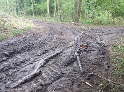  <a style='color: #fff;' href='/uploaded/photo/coupes-en-foret-de-la-vente-5eb94486b8723.jpg'>(Télécharger)</a>