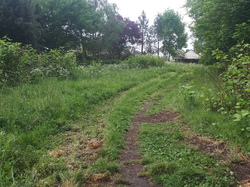  <a style='color: #fff;' href='/uploaded/photo/coupes-en-foret-de-la-vente-5eb94489dbe71.jpg'>(Télécharger)</a>