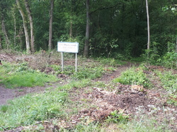  <a style='color: #fff;' href='/uploaded/photo/coupes-en-foret-de-la-vente-5eb944aca062d.jpg'>(Télécharger)</a>