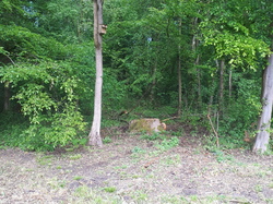  <a style='color: #fff;' href='/uploaded/photo/coupes-en-foret-de-la-vente-5eb944b0938fe.jpg'>(Télécharger)</a>