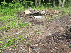  <a style='color: #fff;' href='/uploaded/photo/coupes-en-foret-de-la-vente-5eb944b286adb.jpg'>(Télécharger)</a>