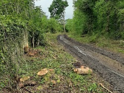  <a style='color: #fff;' href='/uploaded/photo/coupes-en-foret-de-la-vente-5eb945fe93072.jpg'>(Télécharger)</a>