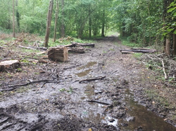  <a style='color: #fff;' href='/uploaded/photo/coupes-en-foret-de-marly-et-de-la-vente-5eb9291c8b628.jpg'>(Télécharger)</a>