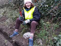  <a style='color: #fff;' href='/uploaded/photo/crapaudrome-ormoy-la-riviere-62015a4dde1e8.jpg'>(Télécharger)</a>