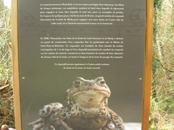  <a style='color: #fff;' href='/uploaded/photo/crapauduc-22-fevrier-2014-536e659027620.jpg'>(Télécharger)</a>