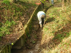  <a style='color: #fff;' href='/uploaded/photo/crapauduc-22-fevrier-2014-536e65a9c3cff.jpg'>(Télécharger)</a>