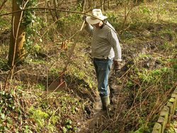  <a style='color: #fff;' href='/uploaded/photo/crapauduc-22-fevrier-2014-536e65c6a148e.jpg'>(Télécharger)</a>