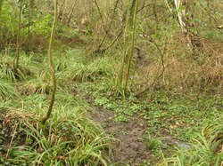  <a style='color: #fff;' href='/uploaded/photo/crapauduc-22-fevrier-2014-536e661d56909.jpg'>(Télécharger)</a>