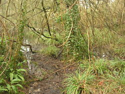  <a style='color: #fff;' href='/uploaded/photo/crapauduc-22-fevrier-2014-536e66346290b.jpg'>(Télécharger)</a>