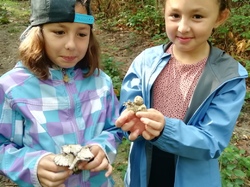  <a style='color: #fff;' href='/uploaded/photo/cueillete-champignons-5f6e18fc4940b.jpg'>(Télécharger)</a>