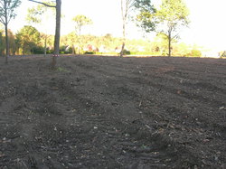  <a style='color: #fff;' href='/uploaded/photo/defrichement-a-fourqueux-aout-2014-543e80cbd943f.jpg'>(Télécharger)</a>