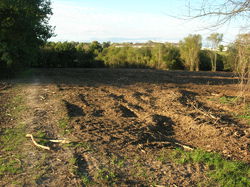  <a style='color: #fff;' href='/uploaded/photo/defrichement-a-fourqueux-aout-2014-543e80f7d33f2.jpg'>(Télécharger)</a>