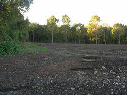  <a style='color: #fff;' href='/uploaded/photo/defrichement-a-fourqueux-aout-2014-543e816ba22e9.jpg'>(Télécharger)</a>