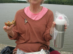  <a style='color: #fff;' href='/uploaded/photo/etang-de-st-hubert-5f047156e1a44.jpg'>(Télécharger)</a>