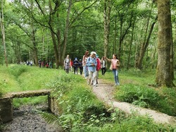  <a style='color: #fff;' href='/uploaded/photo/etang-de-st-hubert-5f04715e76b6e.jpg'>(Télécharger)</a>