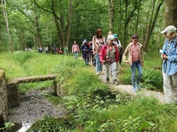  <a style='color: #fff;' href='/uploaded/photo/etang-de-st-hubert-5f04716403ab3.jpg'>(Télécharger)</a>