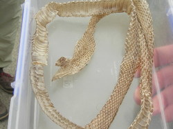  <a style='color: #fff;' href='/uploaded/photo/etang-de-st-hubert-5f04716f2d006.jpg'>(Télécharger)</a>