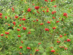  <a style='color: #fff;' href='/uploaded/photo/etang-de-st-hubert-5f047170bb18a.jpg'>(Télécharger)</a>