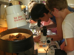  <a style='color: #fff;' href='/uploaded/photo/etranges-habitants-du-sol-5b0ae549ce4ab.jpg'>(Télécharger)</a>