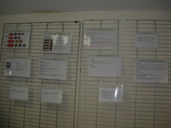  <a style='color: #fff;' href='/uploaded/photo/etranges-habitants-du-sol-5b0ae54a2627f.jpg'>(Télécharger)</a>