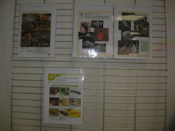  <a style='color: #fff;' href='/uploaded/photo/etranges-habitants-du-sol-5b0ae54c14aa2.jpg'>(Télécharger)</a>