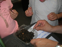  <a style='color: #fff;' href='/uploaded/photo/etranges-habitants-du-sol-5b0ae54d52652.jpg'>(Télécharger)</a>