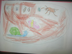  <a style='color: #fff;' href='/uploaded/photo/etranges-habitants-du-sol-5b0ae54d69caa.jpg'>(Télécharger)</a>