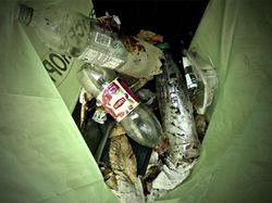  <a style='color: #fff;' href='/uploaded/photo/foret-propre-5cab9b526299c.jpg'>(Télécharger)</a>