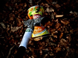  <a style='color: #fff;' href='/uploaded/photo/foret-propre-5cab9b5284570.jpg'>(Télécharger)</a>