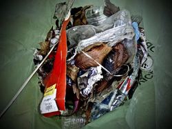  <a style='color: #fff;' href='/uploaded/photo/foret-propre-5cab9b529cc70.jpg'>(Télécharger)</a>