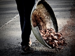  <a style='color: #fff;' href='/uploaded/photo/foret-propre-5cab9b52ebc4f.jpg'>(Télécharger)</a>