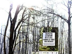  <a style='color: #fff;' href='/uploaded/photo/foret-propre-5cab9b53561be.jpg'>(Télécharger)</a>