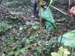  <a style='color: #fff;' href='/uploaded/photo/foret-propre-6169881685f72.jpg'>(Télécharger)</a>