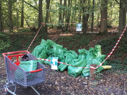  <a style='color: #fff;' href='/uploaded/photo/foret-propre-6169881adf43c.jpg'>(Télécharger)</a>