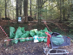  <a style='color: #fff;' href='/uploaded/photo/foret-propre-6169881b7b4ed.jpg'>(Télécharger)</a>