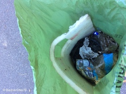  <a style='color: #fff;' href='/uploaded/photo/foret-propre-8-10-22-6343f3c721eb1.jpg'>(Télécharger)</a>