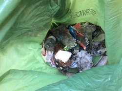  <a style='color: #fff;' href='/uploaded/photo/foret-propre-8-10-22-6343f3c8de4cb.jpg'>(Télécharger)</a>