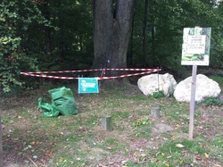  <a style='color: #fff;' href='/uploaded/photo/foret-propre-8-10-22-6343f3cabfcdb.jpg'>(Télécharger)</a>