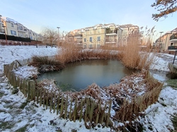  <a style='color: #fff;' href='/uploaded/photo/fourqueux-sous-la-neige-60255d4619215.jpg'>(Télécharger)</a>