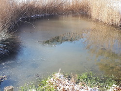  <a style='color: #fff;' href='/uploaded/photo/fourqueux-sous-la-neige-60255debe4e44.jpg'>(Télécharger)</a>