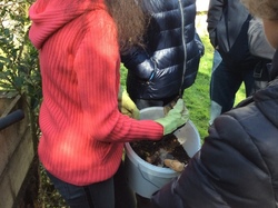  <a style='color: #fff;' href='/uploaded/photo/initiation-au-compost-58d91cdfcfd8f.jpg'>(Télécharger)</a>