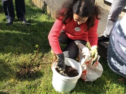  <a style='color: #fff;' href='/uploaded/photo/initiation-au-compost-58d91ce287fc3.jpg'>(Télécharger)</a>