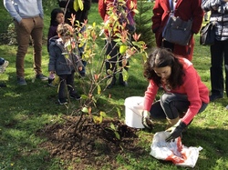  <a style='color: #fff;' href='/uploaded/photo/initiation-au-compost-58d91ce310e1d.jpg'>(Télécharger)</a>