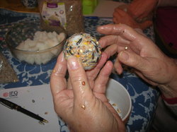  <a style='color: #fff;' href='/uploaded/photo/jardin-refuge-5e2dcfa9eb69b.jpg'>(Télécharger)</a>