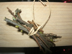  <a style='color: #fff;' href='/uploaded/photo/lutins-malins-5ffdff22d0226.jpg'>(Télécharger)</a>