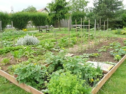  <a style='color: #fff;' href='/uploaded/photo/magny-les-hameaux-51c5a267ae204.jpg'>(Télécharger)</a>