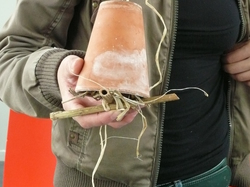  <a style='color: #fff;' href='/uploaded/photo/magny-les-hameaux-51c5a27c14149.jpg'>(Télécharger)</a>