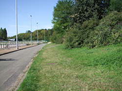  <a style='color: #fff;' href='/uploaded/photo/nettoyage-de-foret-51113cd62ef9f.jpg'>(Télécharger)</a>