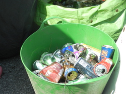  <a style='color: #fff;' href='/uploaded/photo/nettoyage-foret-25-mai-2013-51b5df978dffb.jpg'>(Télécharger)</a>