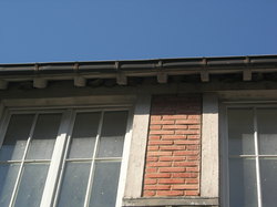 Colonie de nids d'hirondelles de fenêtre <a style='color: #fff;' href='/uploaded/photo/parc-d-agroparistech-5d063d572736c.jpg'>(Télécharger)</a>